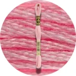 DMC Mouliné Spécial 25, Red/Yellow/Orange Shades 0151