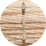 DMC Mouliné Spécial 25, Red/Yellow/Orange Shades 0945