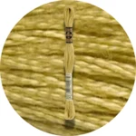 DMC Mouliné Spécial 25, Red/Yellow/Orange Shades 0834