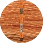 DMC Mouliné Spécial 25, Red/Yellow/Orange Shades 0721