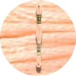 DMC Mouliné Spécial 25, Red/Yellow/Orange Shades 0020