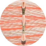 DMC Mouliné Spécial 25, Red/Yellow/Orange Shades 0967