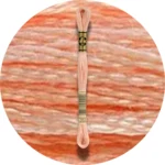 DMC Mouliné Spécial 25, Red/Yellow/Orange Shades 0353