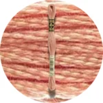 DMC Mouliné Spécial 25, Red/Yellow/Orange Shades 0758