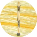 DMC Mouliné Spécial 25, Red/Yellow/Orange Shades 0745