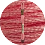 DMC Mouliné Spécial 25, Red/Yellow/Orange Shades 0760