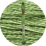 Mouliné Spécial 25 Green 0989